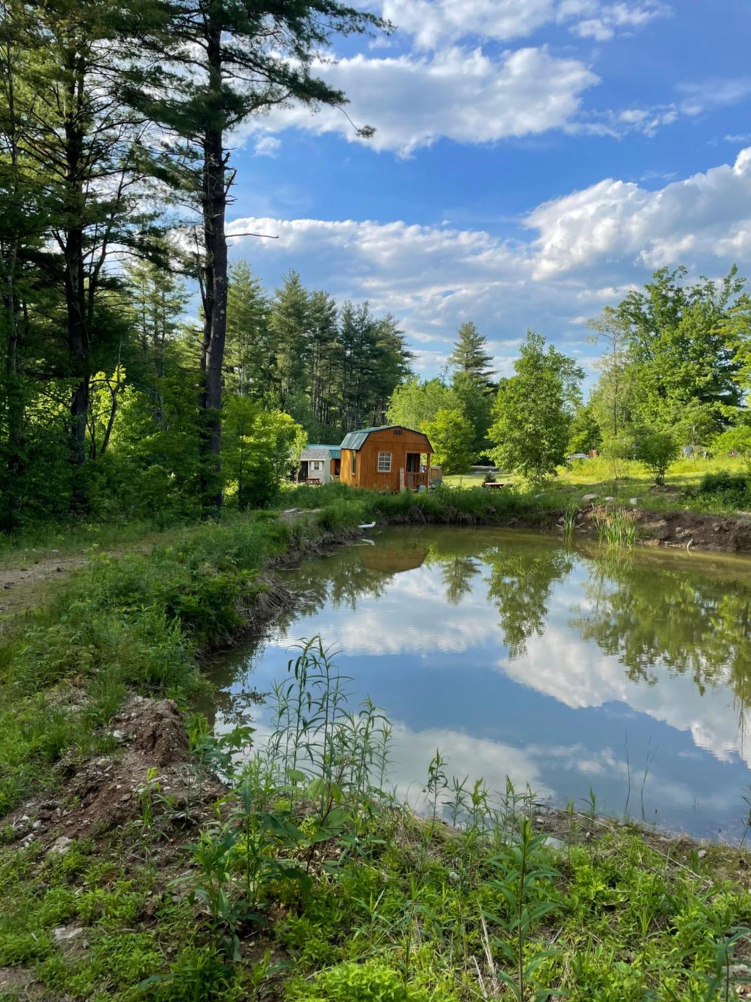 The Hideaway Tiny Cabin East Durham Eksteriør bilde